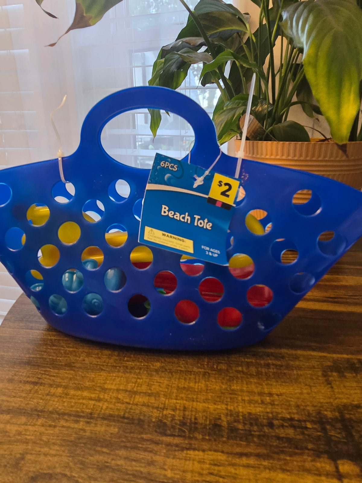Beach Totes for Kids (red or blue)